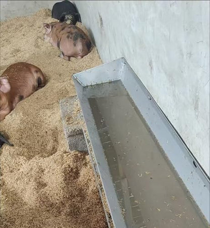 Customizable Pig Feeder with Large Storage Space, Heavy Duty Anti-rust Goat Feeder, Floor & Wall Mounted Water Trough for Cattle, Hog, Sheep(L100cm/3.3ft) - size: L100cm/3.3ft