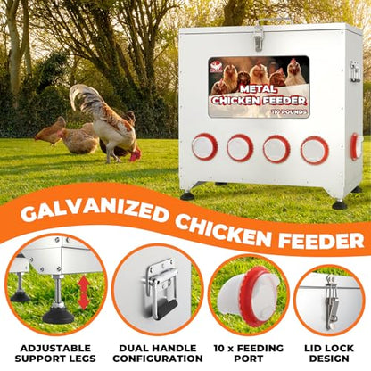 Sidasu 110 lbs Chicken Feeder No Waste-10 Port Large Chicken Feeder with Adjustable Height,Locking Lid,Rainproof-Metal Poultry Feeders for Chickens (Sliver, 23.76 * 22.78 in) - size: 110lbs