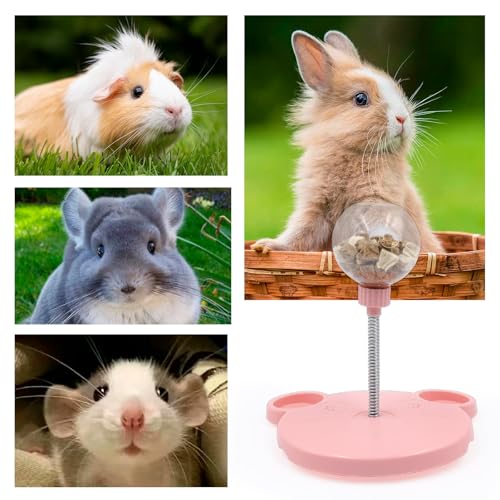 Small Animal Treat Dispenser, Guinea Pig Enrichment Toys with Spring and Base, Foraging Feeding Toys for Rabbit, Guinea Pig, Chinchilla, Rat and Other Small Animals