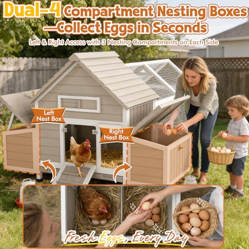 Ketive 83" L Large Chicken Coop with Run for 4-6 Chickens, Expandable Wooden Backyard Hen House Poultry Cage with 4 Reinforced Nesting Boxes, Dual Ramp Doors, Removable Slide-Out Tray, Curved Roof - size: 83.0"L x 58.0"W x 39.5"H