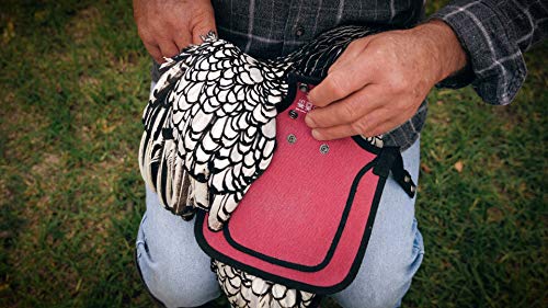 DOWN UNDER OUTDOORS Medium-Large Chicken Saddle with Adjustable Straps, Chicken Apron, Poultry Saver, Pet Supplies, Including Shoulder Cover (Burgundy) - color: Burgundy