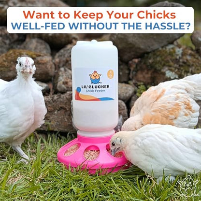 Lil'Clucker 1L Chick Feeder, 1.5L Chicken Waterer - No Leakage Chick Feeder and Waterer Kit, Durable Chicken Water Feeder, Chicken Feeder and Waterer Set, Poultry Waterer (Pink) - color: Pink