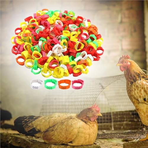 Chicken Leg Bands 100-Pack Poultry Identification Leg Bands, Chicken Foot Rings for Flock Management