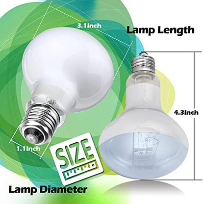 Reptile Heat Lamp Bulbs 100W 2 Pack Basking Light Heat Bulb for Reptiles,UVA Daylight Heating Lamp for Bearded Dragon,Lizard,Turtle,Chicken Pet Brooder with Digital Temperature Thermometer