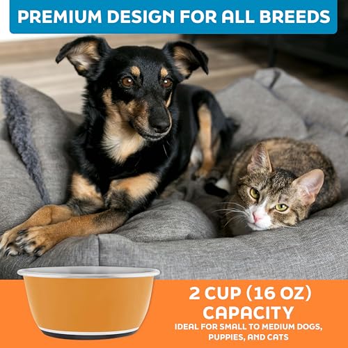 Master Pet Supply Stainless Steel Dog Bowls Set of 2 (16 Oz Each) with Non-Slip Rubber Base - Mango Tango - Basic Dog Food Bowl Water & Food Bowls for Small Medium Large Dogs & Cats, Metal Dish - color: Mango Tango, size: 2 Cups (16 oz) 2 Pack