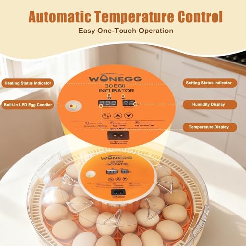 ZEMIRO CHARGE Serie II - 30 Egg Incubator for Experienced Hands-On Hatchers, Auto Egg Turn, Manual Humidity Control (Water Fill), Temperature Control, Real-Time Display, Egg Candler - size: 30-Egg Orange
