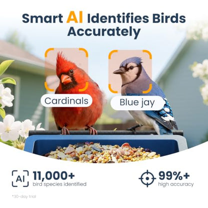 Smart Metal Bird Feeder with Camera, Light Blue | Squirrel Proof, 2.5K UHD AI Identification, Wireless Solar Powered, Real-time Videos & IMG, Outdoor for Garden Birding - color: Light Blue