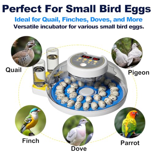 32 Quail Egg Incubator for Hatching Eggs, Dual Power Supply, Automatic Egg Turner, Humidity & Temperature Monitor, Egg Candler, External Water Filling, Bird Egg Incubator for Quail Dove