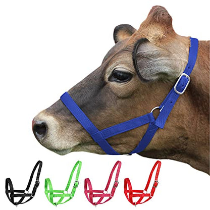 Derby Originals Adjustable Nylon Livestock Cattle Halters - color: Royal Blue, size: Large (800-1400lbs)