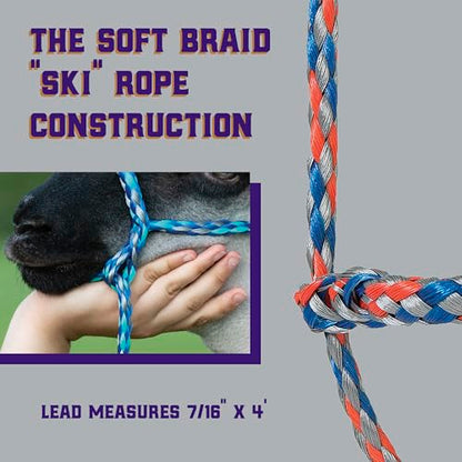 Weaver Livestock Poly Rope Sheep Halter, Modern Style Braid Sheep and Goat Rope Halter, Adjustable Lamb Halter Lead, Livestock Sheep Showing Supplies (Pack of 2) - size: 3/8"X10' (Pack of 2)