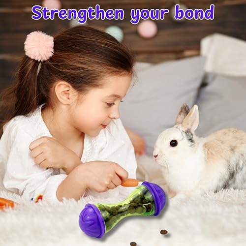 Ferret Treat Ball Interactive Toy Balls for Small Animal, Enrichment Toys Ferrets Dry Food Ball for Ferrets Guinea Pig Rat Chinchilla Hedgehog Bunny, Pet Ferret Accessories (L, Bone) - size: L