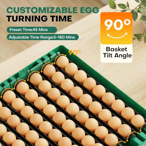 Incubators for Hatching Eggs, 72 Eggs Hatching Incubator with Automatic Egg Turner & Humidity Control & Digital Temp, 360° Clear View for Chicken/Duck/Quail Perfect for Lab School Farm