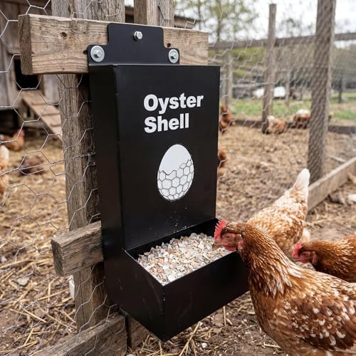 Takywep 2 Pack Galvanized Metal Chicken Feeder, Rainproof Large Capacity Anti-Waste Wall Mount Poultry Feeder for Chicken Duck Pigeon Turkey Backyard Outdoor
