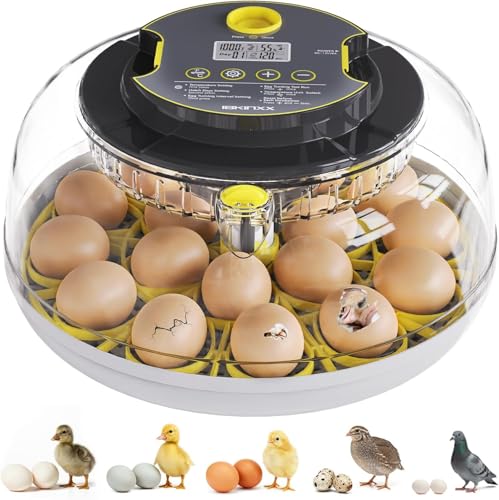IBKINXX Incubator for Hatching Eggs-18 Egg Capacity, Automatic Egg Turner, Temperature & Humidity Control, 360° Viewing for Chicken, Duck and Quail Eggs - color: Grey+Black, size: 18 Egg