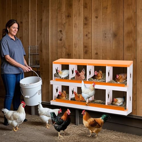 8 Compartment Chicken Nesting Box, Galvanized Steel Metal Laying Box with Removable Tray Roll-Out Egg Collection, Wall Mount Hen Roosting Box, Easy Egg Collection - color: Orange, size: 8 holes