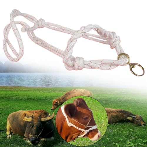 Menolana Bull Bridle Cow Halter for Home Cattles Farms Outdoor Strong Cow Lead Equipment Nylon Tools Effective Cattle Traction Halter - size: Braided Large