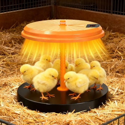 Chick Brooder Heating Plate 35W, ABS Poultry Warmer, 25x24x20 cm Height Adjustable for Winter, Ducks, Quail, Hedgehogs, Reptiles, Farm, Lab, Home