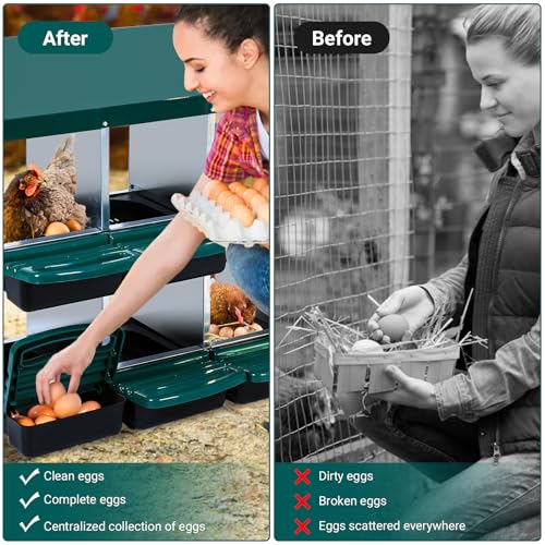 Chicken Nesting Box 10 Compartments - Metal Roll Away Nesting Boxes for Chicken Coop, Egg Collection System, Laying Boxes for Hens with Lid Cover to Protect Eggs, Easy Egg Collection & Clean