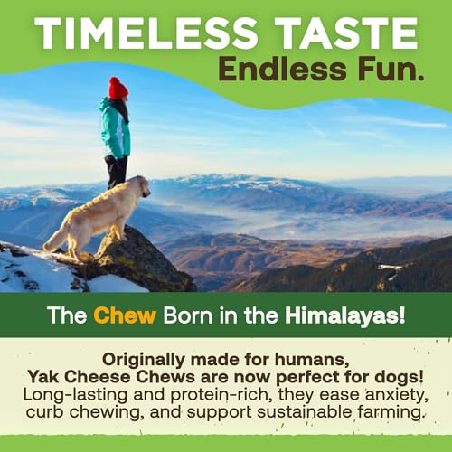 EcoKind Yak Cheese Himalayan Dog Chews, Yak Chews for Large Dogs, Long Lasting Bone for Aggressive Chewers, 3 Ingredient Natural High Protein Dog Treat, No Additives or Lactose, Large - 4 Chews (1 lb)