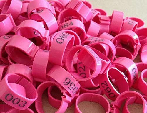 F-P 18mm Laser Plastic Numbered 001-100 Chicken Leg Bands Duck Chicken Goose Rings (Random) (Random) - color: RANDOM
