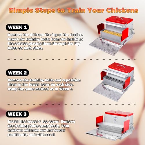 Feeders Automatic Chicken Feeder - Large Capacity for 6-12 Chickens, Lasts 10 Days (25lb Feed), Durable Galvanized Steel, Rat-Proof, No-Spill, Weatherproof Lid - color: Green, size: 25LB