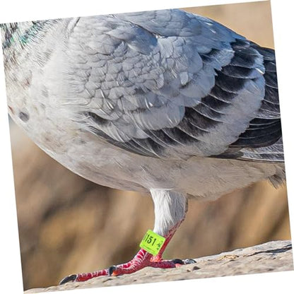BESPORTBLE 100pcs Mixed Pigeon Leg Bands Foot Rings for Poultry Birds and Chickens Easy Identification Supplies for Racing Pigeons Parakeets and Style