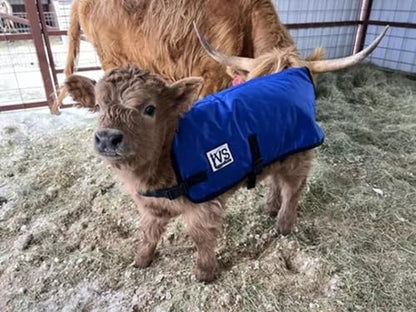 IVS ThermaCalf Calf Blanket – Thermal Insulated Livestock Jacket with Adjustable Buckle Straps - size: Medium