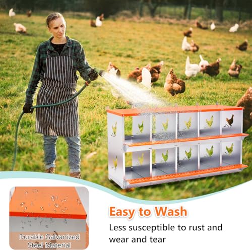 Chicken Nesting Box for Laying Eggs (53" L x 17" W x 25" H) | 10 Room Chicken Laying Boxes, Nesting Boxes for Chickens, Heavy Duty Metal Chicken Coop - size: 53" L x 17" W x 25" H