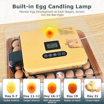 Incubators for Hatching Eggs, 56 Eggs Incubator with Egg Candler, Auto Egg Turner, Temp & Humidity Control, Hatch Day, 360° Viewing for Chicken, Duck, Quail Eggs, Ideal for Farm, School and Lab