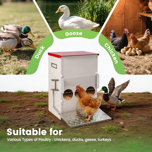 25LB Automatic Chicken Feeder No Waste Metal Gravity Poultry Feeder Treadle Feeder 3 Feeding Ports with Lid, Weatherproof Galvanized Chicken Food Dispenser for Ducks, Goose, Turkey