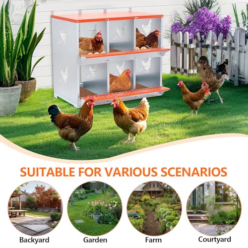Chicken Nesting Box for Laying Eggs (31.8" L x 17" W x 25" H) | 6 Room Chicken Laying Boxes, Nesting Boxes for Chickens, Heavy Duty Metal Chicken Coop - size: 31.8" L x 17" W x 25" H