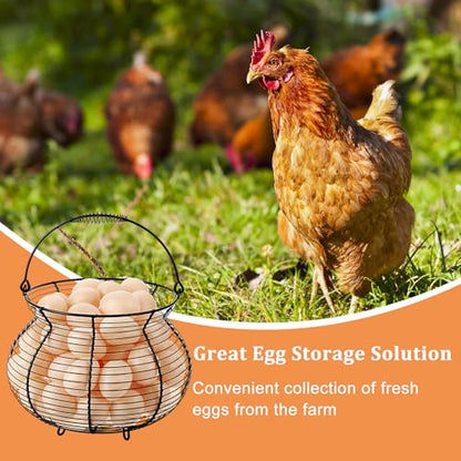 1 PCS Black Big Belly Wire Egg Baskets for Fresh Egg With Handle, Small Metal Wire Basket for Gathering Fresh Chicken and Duck Eggs, Hunting Basket Egg Holder Countertop - style: Oval-1 Pack