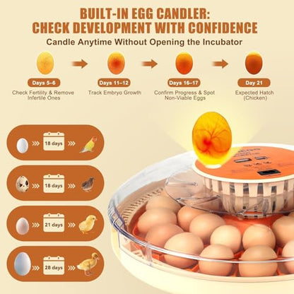 ZEMIRO CHARGE Serie II - 30 Egg Incubator for Experienced Hands-On Hatchers, Auto Egg Turn, Manual Humidity Control (Water Fill), Temperature Control, Real-Time Display, Egg Candler - size: 30-Egg Orange