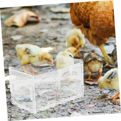 Toddmomy 3pcs Rutin Chicken Feeder and Water Bowl Automatic Poultry Dispenser for Healthy Feeding Design for Backyard Farmers and Hobbyists