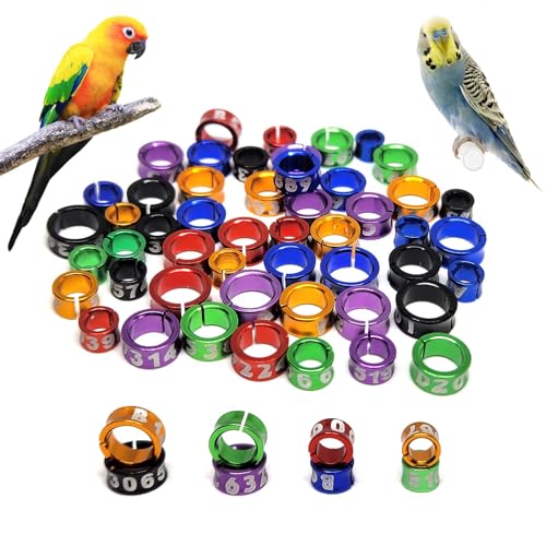 30 Pcs Open Bird Ring Leg Bands,Parrot Leg Ring,Bird Foot Ring Aluminum Alloy Recognition Ring Birds Tags for Parrots,Peonies,Hibiscus,Pigeons,Quails,Rutin Chickens (Diameter 4mm) - color: Diameter 4mm