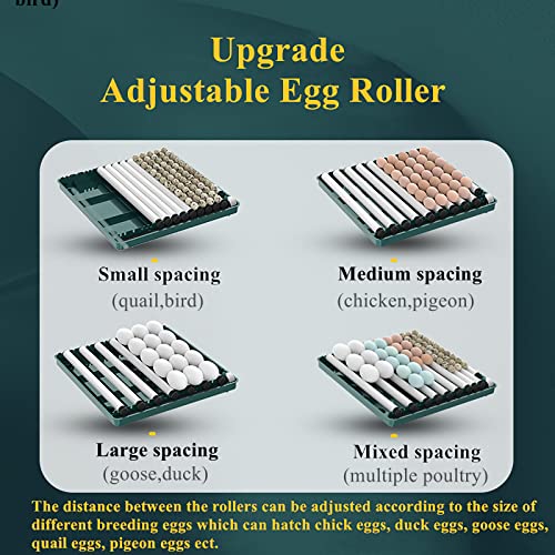 Egg Automatic Incubator 24-60 Eggs Intelligent Incubators for Hatching Eggs, Poultry Hatching Machine for Chicken Duck Goose Quail Bird Pigeon