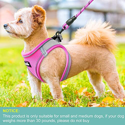 haapaw Dog Harness with Leash Set, No Pull Adjustable Reflective Step-in Puppy Harness with Thickened Padded Vest for Extra-Small/Small Medium Dogs - color: Grey / Pink, size: M