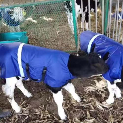 1 Piece -Winter Cow Blanket, Thickened Waterproof Cow Calf Warm Jacket Jacket Padded Windproof Clothes for Cows and Goats Warm Thickened Windproof Belly Protectors Body Length 37in