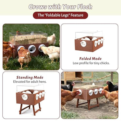 KOL No-Waste Chicken Feeder, 22LB Poultry Feeder with 6 Anti-Spill Ports, Clear-View HIPS & Acrylic Design, Foldable Stand for Hens and Chicks – Automatic Gravity-Flow Feeder