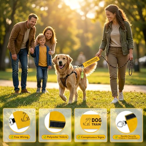 Dog Reactive Leash Wrap, Training in Progress Yellow Warning Sleeve with Heart Snap Hook, Highly Visible Lead Cover for Nervous & Anxious Pets, Durable Double-Sided Canvas - color: Dog Reactive