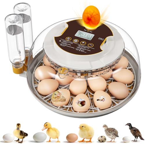 18 Egg Incubator with Automatic Egg Turning & Humidity Control, Built-in Egg Candler, 360° View Window & Dual-Size Trays for Chicken, Duck, Quail, Goose Eggs – Ideal for Farm, Classroom, Home