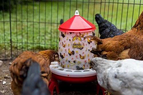 My Favorite Chicken 4kg Feeder & 5L Drinker with Legs - Large Chicken Feeder & Waterer, Floral Design, BPA-Free, Easy Clean, Blue