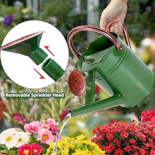 1 Gallon Metal Watering Can with Removable Spout, Nice Galvanized Steel Water Can for Indoor and Outdoor Plants (House Plants) - color: Green