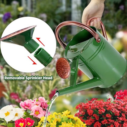 1 Gallon Metal Watering Can with Removable Spout, Nice Galvanized Steel Water Can for Indoor and Outdoor Plants (House Plants) - color: Green