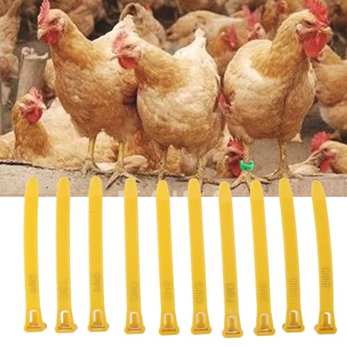 ZJchao Chicken Leg Bands, Adjustable Plastic Poultry Identification Leg Rings with Clear Colorfast Number Engraving for Duck Goose Chicken (Yellow) - color: Yellow