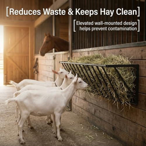 Livestock Hay Feeder Wall Mount, 31.5 Inch Goat Hay Rack - Durable Steel Barn Feeder