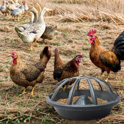 4PCS Chicken Feeder No Waste No Spill No Mess，Poultry Feeder and Waterer Set，12 Hole for Poultry ，Poultry Feeding troughs for Farms, Chickens, Ducks, Geese, Quails, Pigeons
