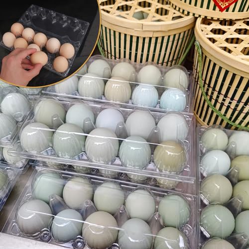 80 Pack Bulk Egg Cartons, Clear Plastic Chicken Egg Holders, Egg Tray Carton Holder for Home & Kitchen, Farm & Market Use, An Eco-Friendly Egg Storage Solution, 10 Grids(Medium Size) - size: 80 Pack Egg Cartons 10 Grids