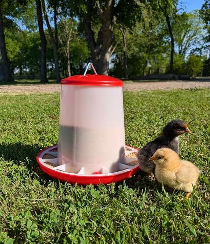 Large Chicken Feeder 11-Pound Capacity for All Poultry | Durable Feeding Container with Carrying Handle for Chickens, Ducks, Turkeys, Quail, Baby Chicks, Turkeys and More - size: 11 Pounds