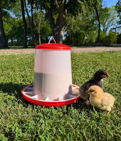 Large Chicken Feeder 5-Pound Capacity for All Poultry | Durable Feeding Container with Carrying Handle for Chickens, Ducks, Turkeys, Quail, Baby Chicks, Turkeys and More - size: 5 Pounds